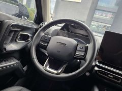 Haval Big Dog PLUS 2.0T Two-Wheel Drive Trendy Wilderness Edition - ფოტო 10