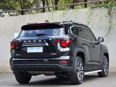Haval Big Dog PLUS 2.0T Two-Wheel Drive Trendy Wilderness Edition - ფოტო 4