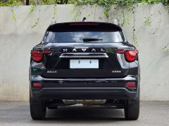 Haval Big Dog PLUS 2.0T Two-Wheel Drive Trendy Wilderness Edition - ფოტო 5