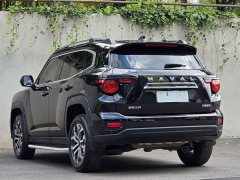 Haval Big Dog PLUS 2.0T Two-Wheel Drive Trendy Wilderness Edition - ფოტო 6
