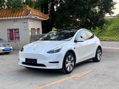 Tesla Model Y Rear-Wheel Drive - ფოტო 1