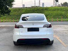 Tesla Model Y Rear-Wheel Drive - ფოტო 10
