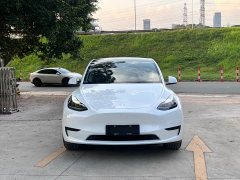 Tesla Model Y Rear-Wheel Drive - ფოტო 2