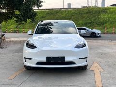 Tesla Model Y Rear-Wheel Drive - ფოტო 3