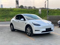 Tesla Model Y Rear-Wheel Drive - ფოტო 4