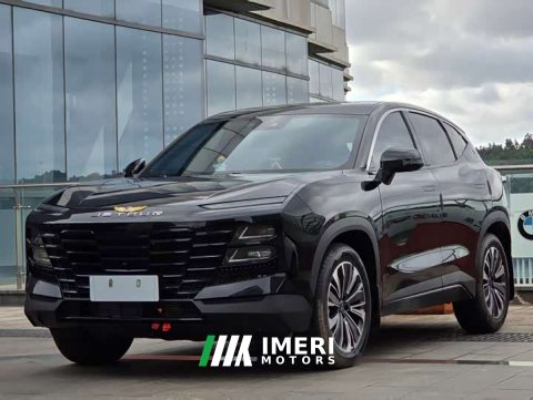 2022 Jetour Jietu Dasheng 1.6T DCT King Plus - ავტომობილი ჩინეთიდან