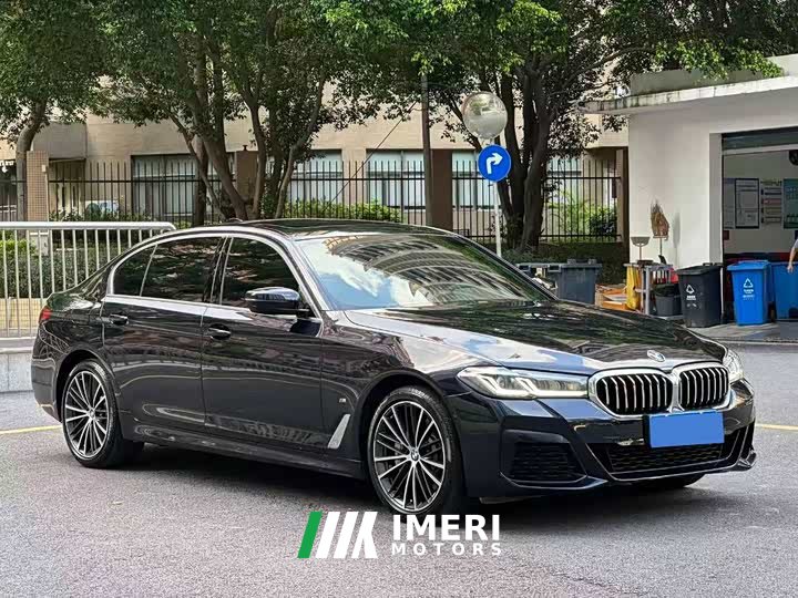 BMW 5 Series 530Li Premier M Sport Package - ავტომობილი ჩინეთიდან