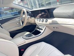 Mercedes-Benz CLS 300 Luxury - ფოტო 10