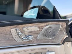 Mercedes-Benz CLS 300 Luxury - ფოტო 13
