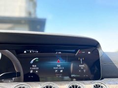Mercedes-Benz CLS 300 Luxury - ფოტო 17