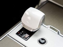 Land Rover Range Rover 2024 3.0 L6 400PS SV Prestige Genesis Extended Wheelbase - ფოტო 20