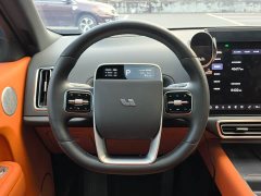 Li Auto L9 2022 Max - ფოტო 15