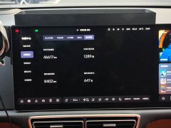 Li Auto L9 2022 Max - ფოტო 16