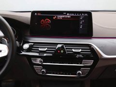 BMW 5 Series 530Li Premier M Sport Package - ფოტო 18