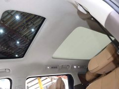 Denza D9 2022 DM-i 970 AWD Flagship - ფოტო 19