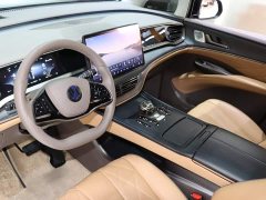 Denza D9 2022 DM-i 970 AWD Flagship - ფოტო 8