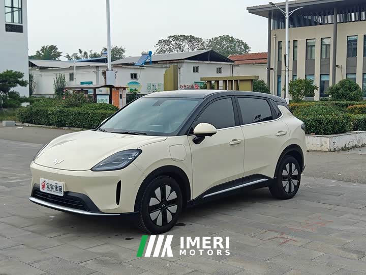 Wuling Binguo Bingo S 430km Deluxe Edition - ავტომობილი ჩინეთიდან
