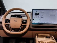 Li Auto i6 Two-Wheel Drive Standard - ფოტო 8