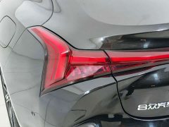 Neta S 2022 Extended Range 1160km RWD Mid Trim - ფოტო 13