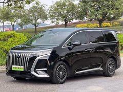 Denza BYD Denza D9 2022 EV 600 AWD Prestige - ფოტო 1