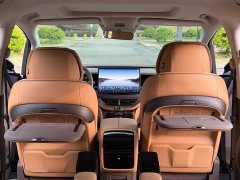 Denza BYD Denza D9 2022 EV 600 AWD Prestige - ფოტო 13