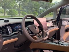 Denza BYD Denza D9 2022 EV 600 AWD Prestige - ფოტო 5