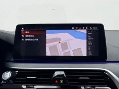 BMW 5 Series 530Li Premier M Sport Package - ფოტო 13