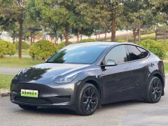 Tesla Model Y Rear-Wheel Drive - ფოტო 1