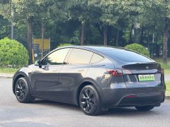 Tesla Model Y Rear-Wheel Drive - ფოტო 17
