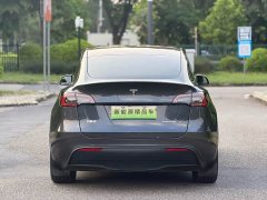 Tesla Model Y Rear-Wheel Drive - ფოტო 19