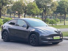 Tesla Model Y Rear-Wheel Drive - ფოტო 2