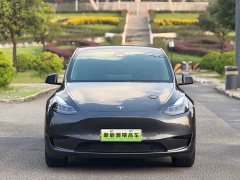 Tesla Model Y Rear-Wheel Drive - ფოტო 3