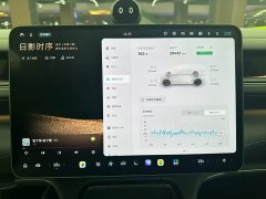 NIO ES8 2026 Six-Seat Executive Luxury Edition - ფოტო 10