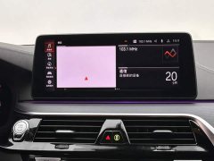 BMW 5 Series Facelift 530Li Luxury M Sport Package - ფოტო 13