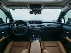 Lexus UX New Energy 2020 300e Pure Joy Edition - ფოტო 11