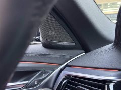 BMW 5 Series Facelift 530Li M Sport Luxury - ფოტო 16