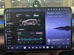 NIO ES8 2026 Six-Seat Executive Luxury Edition - ფოტო 12