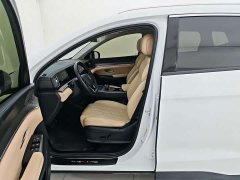 BYD Song Pro New Energy DM-i 115KM Excellence Edition with Smart Driving - ფოტო 18