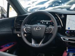 Lexus RX 500h AWD F SPORT Performance - ფოტო 14