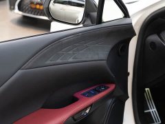 Lexus RX 500h AWD F SPORT Performance - ფოტო 20