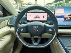 Buick Zhijing L7 Extended Range Luxury Edition - ფოტო 13