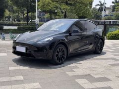 Tesla Model Y 2022 Facelift Rear-Wheel Drive - ფოტო 1