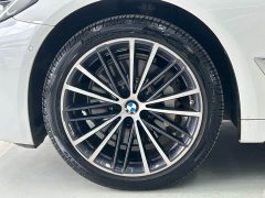 BMW 5 Series Facelift 530Li Premier M Sport Package - ფოტო 15