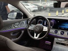 Mercedes-Benz CLS 300 Luxury - ფოტო 10