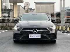Mercedes-Benz CLS 300 Luxury - ფოტო 2