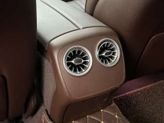 Mercedes-Benz CLS 300 Luxury - ფოტო 20