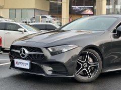 Mercedes-Benz CLS 300 Luxury - ფოტო 4