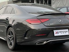 Mercedes-Benz CLS 300 Luxury - ფოტო 5