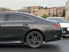 Mercedes-Benz CLS 300 Luxury - ფოტო 8