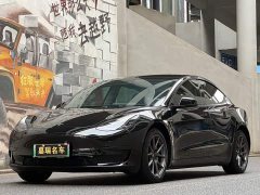 Tesla Model 3 Facelift Standard Range RWD Upgrade 3D1 - ფოტო 1